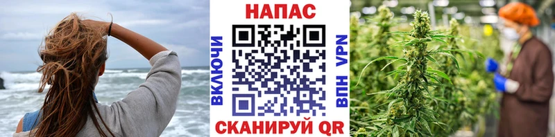 Бошки Шишки Bruce Banner  MEGA вход  Карабулак  магазин   